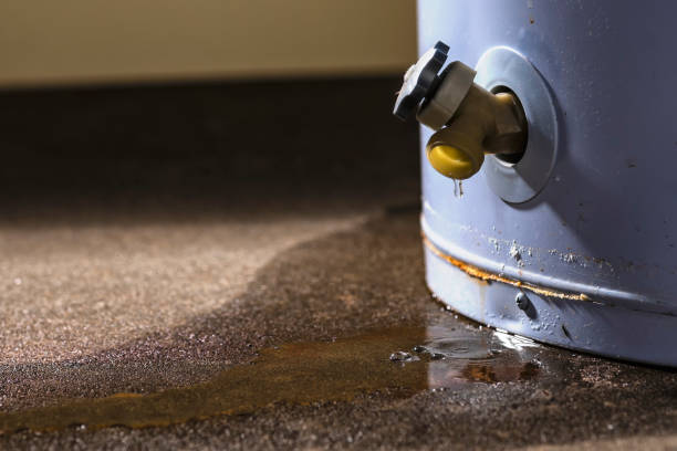 Best Flooded house restoration  in West Pasco, WA