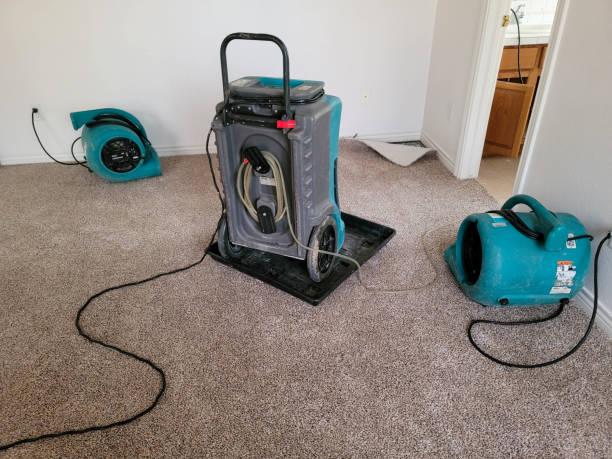 Best Flood restoration services  in West Pasco, WA