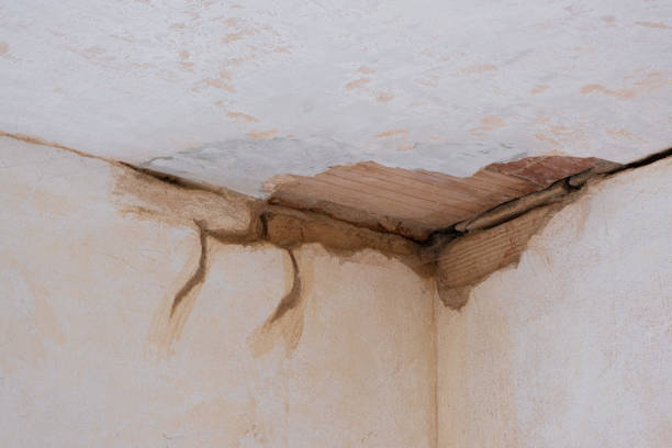 Best Professional water damage repair  in West Pasco, WA