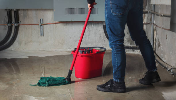 Best Water damage mitigation services  in West Pasco, WA